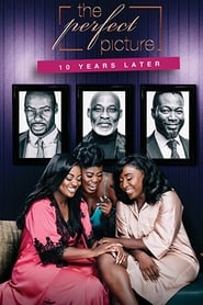 The Perfect Picture : Ten Years Later film en streaming