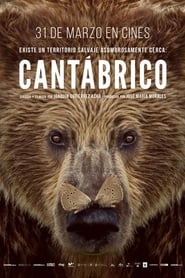 Cantábrico (Los dominios del oso pardo) (2017) Online Cały Film Lektor PL