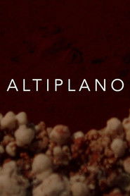 Poster Altiplano 2018