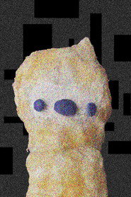 The Tranzformation