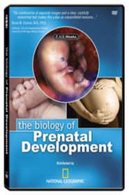 Poster The Biology of Prenatal Development 1970