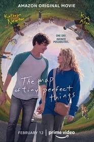 The Map of Tiny Perfect Things постер