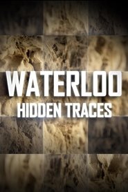 Poster Waterloo: Hidden Traces 2015