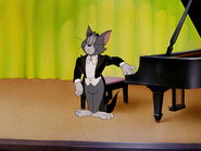 The Cat Concerto