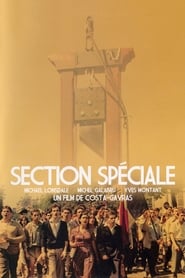 Special Section (1975)