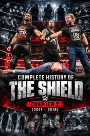 Complete History of The Shield - Chapter 2
