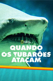 Quando os Tubarões Atacam — Temporada 3