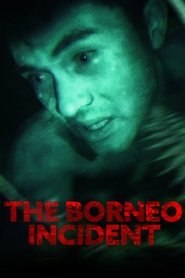 The Borneo Incident (2013)