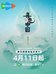 寻色中国 (2025)