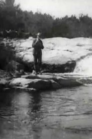Poster Brook Trout Fishing 1900
