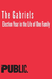The Gabriels: Election Year in the Life of One Family collection poster