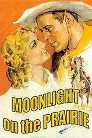 Poster Moonlight on the Prairie