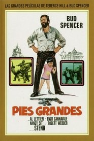 Pies grandes poster