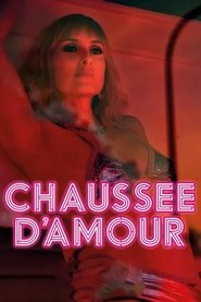 Chaussée d'Amour (2016)