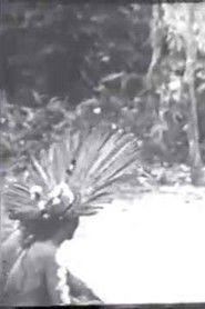 Cerimônias Fúnebres entre os Índios Bororo