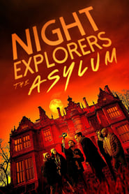 Night Explorers: The Asylum постер