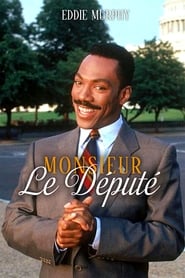 Monsieur le député film en streaming