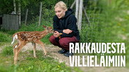 Rakkaudesta villieläimiin