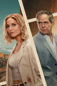 The Iris Affair poster