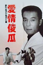 爱情傻瓜) 爱情傻瓜 (1993)