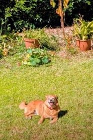 Frida