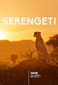 Serengeti – Season 1 Serengeti – Season 1