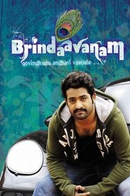 Poster Brindavanam 2010