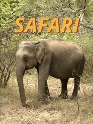 Safari (2025)