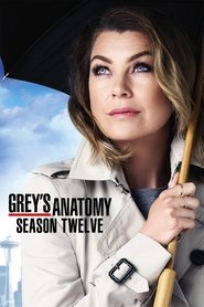 Grey’s Anatomy: Season 12