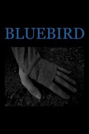 Regarder Bluebird en Streaming  HD