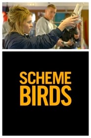 Poster for Scheme Birds