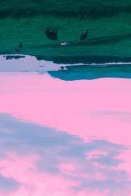 Still Beauty (2025)