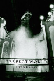 Poster Perfect World 1990