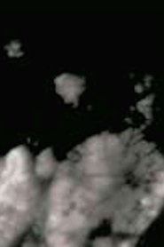Poster Le tombeau d’Aphrodite, Version 7 2005