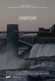 Visitor
