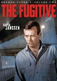 The Fugitive: Season 3