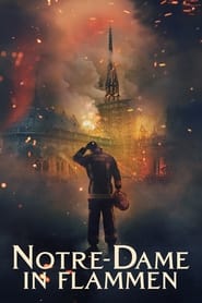 Poster Notre-Dame in Flammen