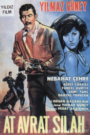 Horse, Woman and Gun