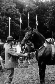 Poster Cattle Show in Haslev 1907