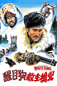 醒目狗救主擒凶