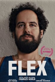 Flex постер