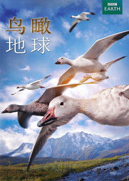 鸟瞰地球