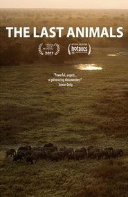 Poster The Last Animals 2017
