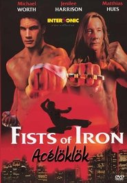 Fists of Iron 1995 吹き替え 動画 フル