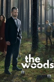 Poster for The Woods