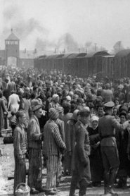 Poster Dr Münch - läkare i Auschwitz