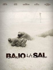 Poster Under the Salt 2008