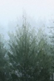Vent