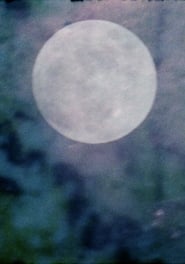 Danzas lunares poster
