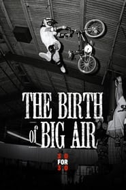 The Birth of Big Air (2010)